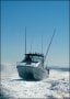 Jackaroo 5990 Commander Cat