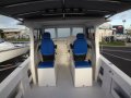 Noosa Cat 3000