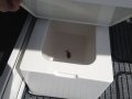 Caribbean Reef Runner:Optional Ice box