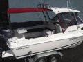 Caribbean Reef Runner:Nice Package