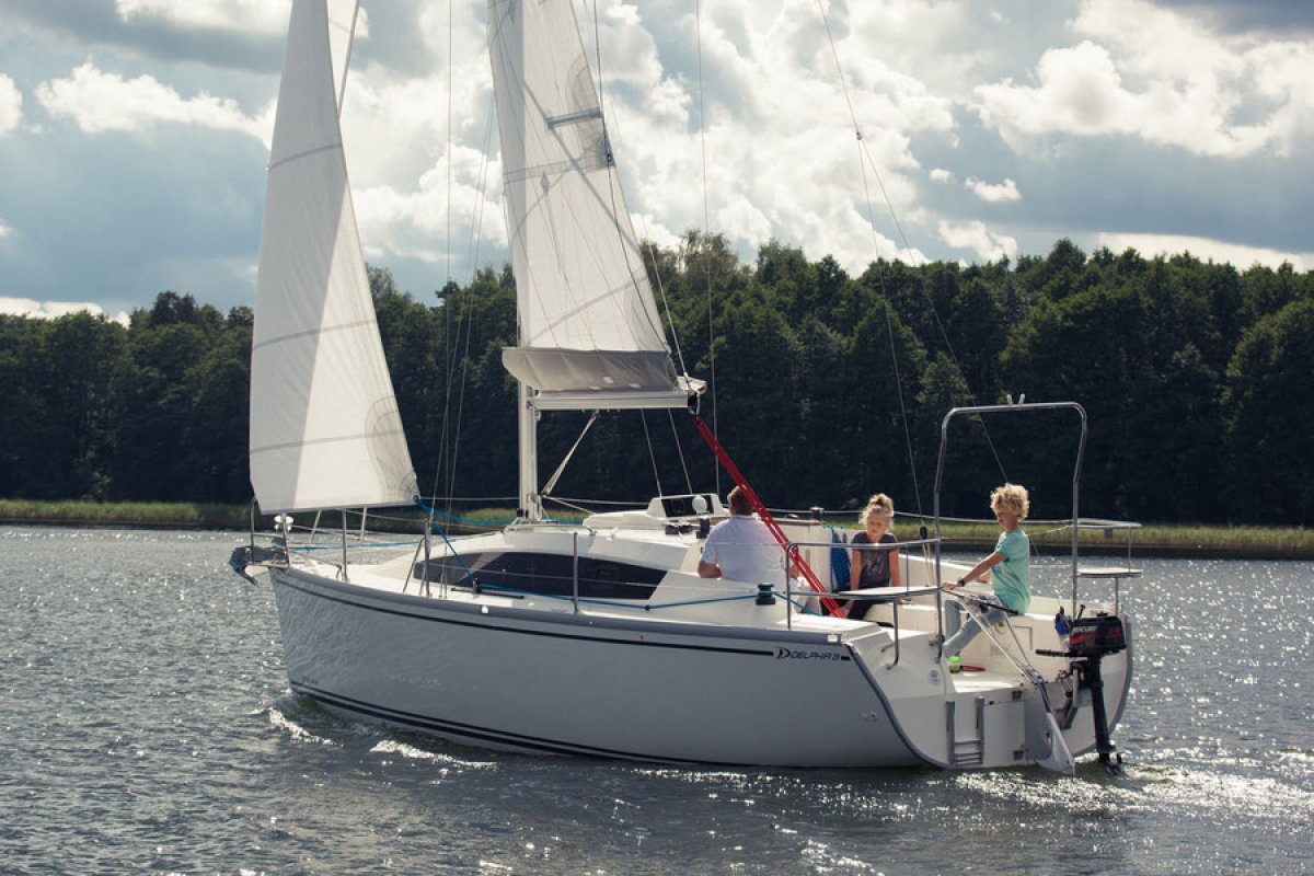 Delphia 29
