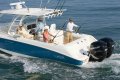 Boston Whaler 320 Outrage Cuddy