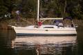 Catalina 445