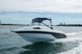 ProCraft 580 Coastal