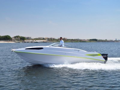 Oryx 27