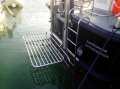 Safehaven Self Righting Interceptor 48 Pilot Boat/SAR