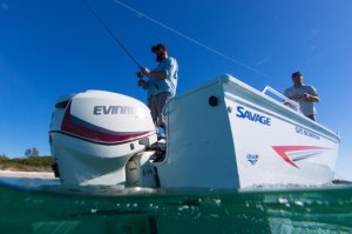 Savage Scorpion Console