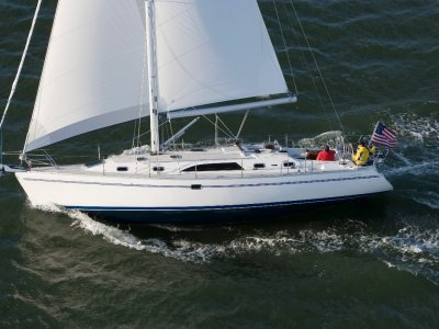 Catalina 445