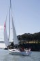 Catalina 445