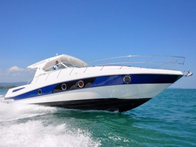 Oryx 42