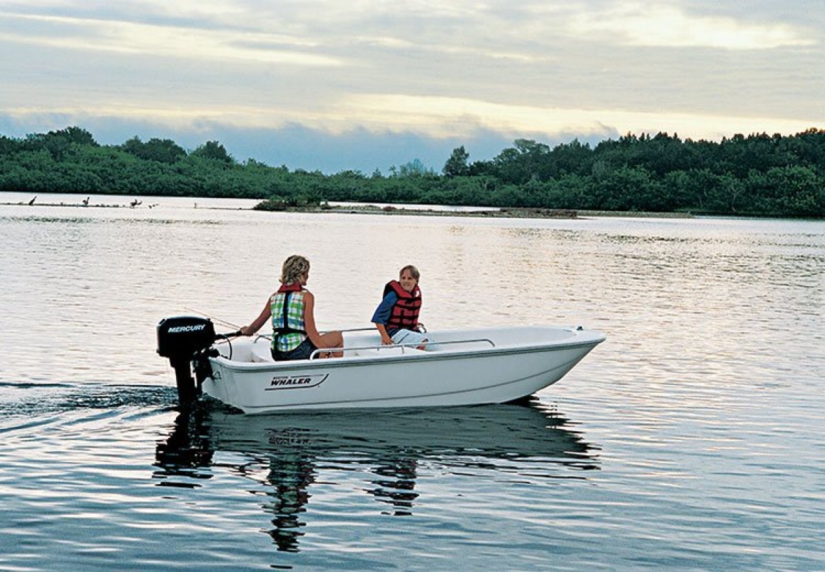 Boston Whaler 110 Tender