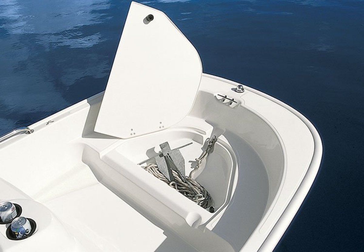Boston Whaler 110 Tender