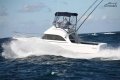 Caribbean 24 Flybridge Sports Fisherman