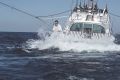 Bertram 35 Flybridge