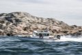 Axopar 28 Cabin