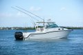Boston Whaler 315 Conquest