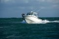 Boston Whaler 315 Conquest