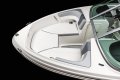 Chaparral 19 H2O Sport