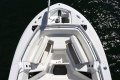 Blackfin 242CC