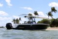 Blackfin 242CC