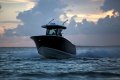 Blackfin 272CC