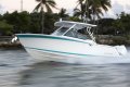 Blackfin 272DC