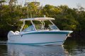 Blackfin 272DC
