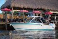 Blackfin 272DC