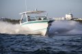 Blackfin 272DC