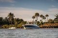 Boston Whaler 380 Realm