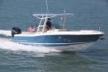 Chris Craft Catalina 29