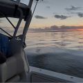 CNC Marine 6500 Soft Top