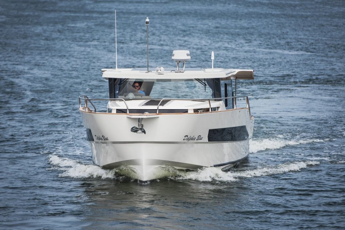 Delphia Bluescape 1200
