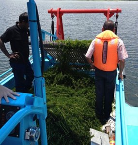 Five AB&E Scavenger HYD22