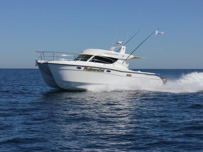 Leisurecat 3500 Sports Express