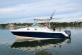 Robalo R305