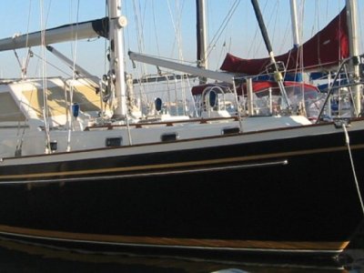 Tayana 46