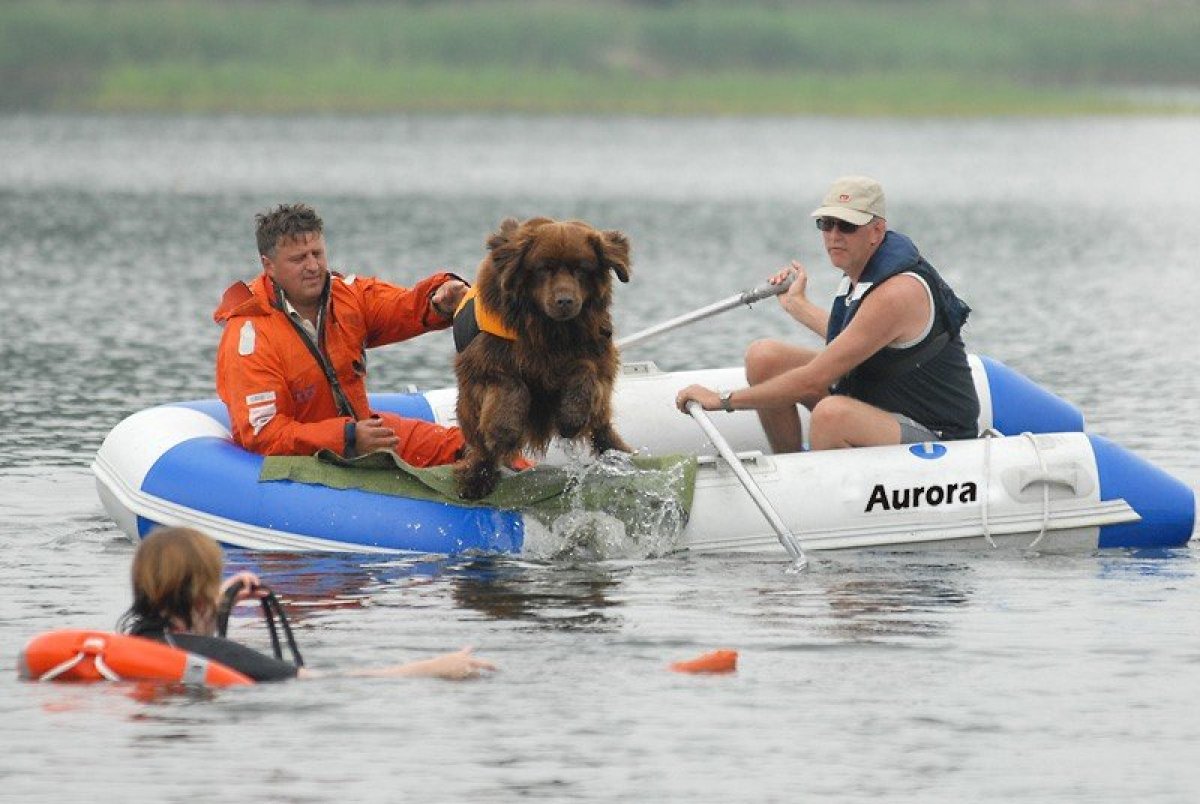 Adventure Inflatables Aurora Arta A300 Air Deck:Catalogue Photo