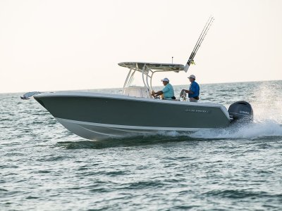 Dorado 242 CC