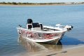 Bluefin 4.35 Wildcat