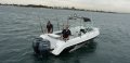Haines Hunter 650 R