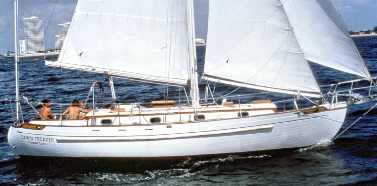 Tayana 37