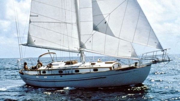 Tayana 37