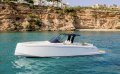 Pardo 38