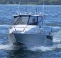 Surtees 6.1 Gamefisher