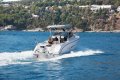 Ranieri Predator 222