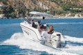 Ranieri Predator 222
