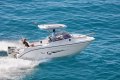 Ranieri Predator 222