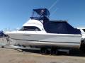 Caribbean Cruiser