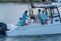 Sportsman Open 282 Centre Console